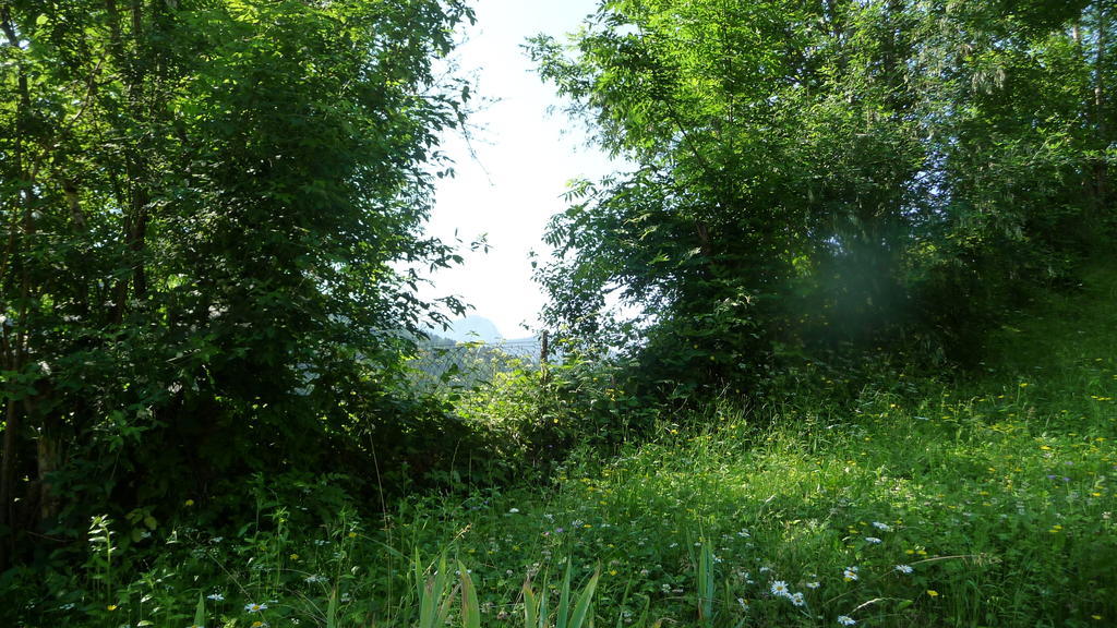 Bed and Breakfast La Chouette A L'Heure Du Pinson Saint-Pierre-d'Entremont  Экстерьер фото